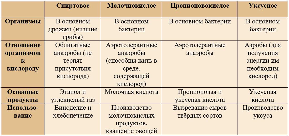 сравнение типов брожения