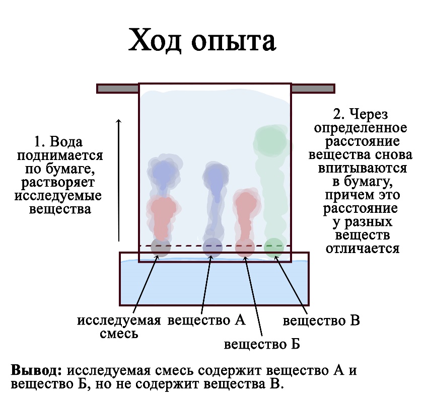 Вода постепенно поднимается по бумаге, перенося с собой капли веществ на определенные расстояния от исходных. У каждого вещества это расстояние отличается, на этом основан принцип хроматографии