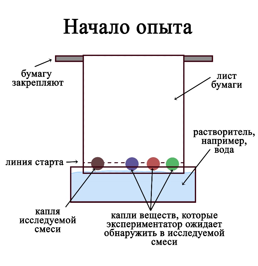 В методе бумажной хроматографии на стартовой линии делают капли исследуемых жидкостей, а рядом &ndash; капли известных веществ