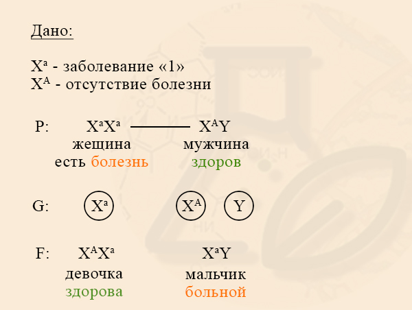 Наследование признака от отца к дочери и от матери к сыну