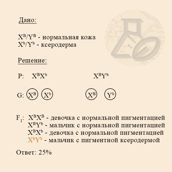 Решение задачи на наследование пигментной ксеродермы