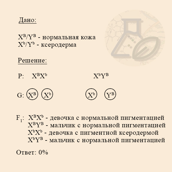 Псевдоаутосомные участки хромосом