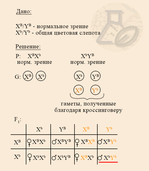 Наследование общей цветовой слепоты
