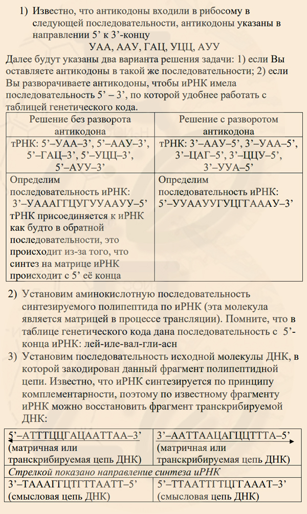 Ответы на задачу с антикодонами тРНК