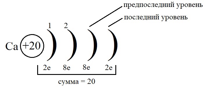 Предвнешний уровень кальция