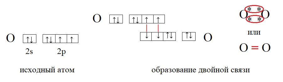 Ковалентная неполярная связь в кислороде