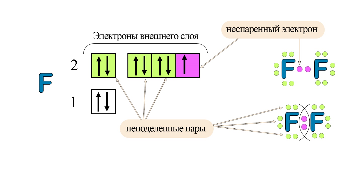 Объединение электронов при образовании ковалентной связи