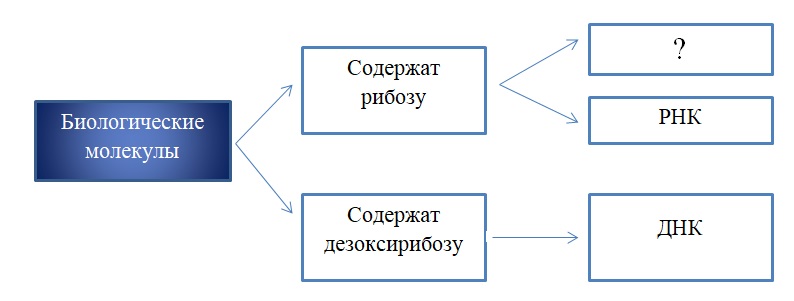 Вариант по биологии. Тематический тест 