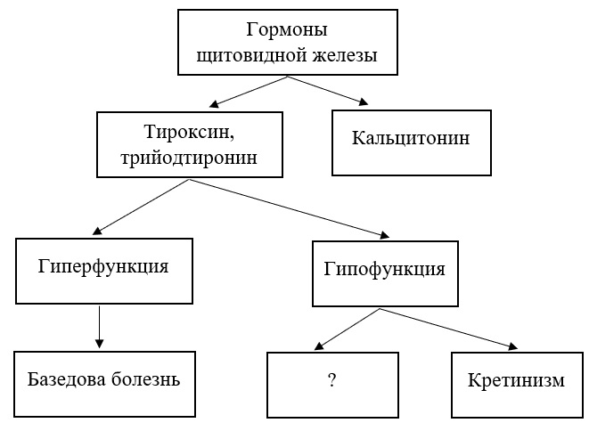 Рассмотрите предложенную схему направлений эволюции запишите в ответ