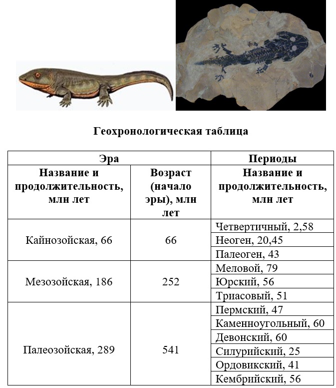 Вариант по биологии. 04091 ЕГЭ 2021. Задание №23