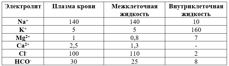 Вариант по биологии. Аналог тестовой части ЕГЭ 2020 вариант 30.  2021. Задание №21