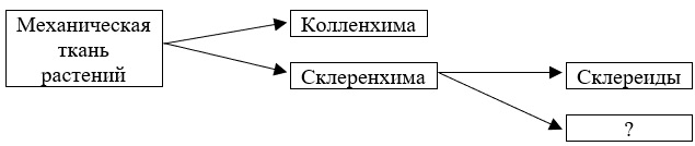 Вариант по биологии. 070405 Биология 2021. Задание №1