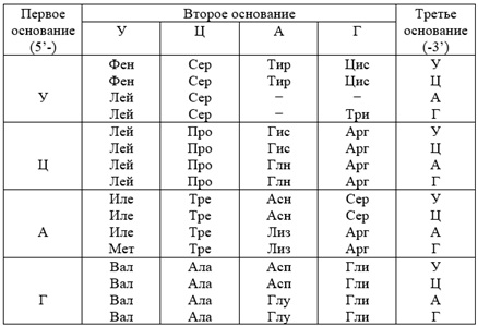 Вариант по биологии. 220901 2022. Задание №27