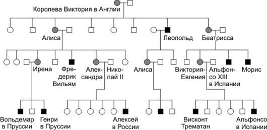 Вариант по биологии. ТЕСТ Свойства живого 2024. Задание №1