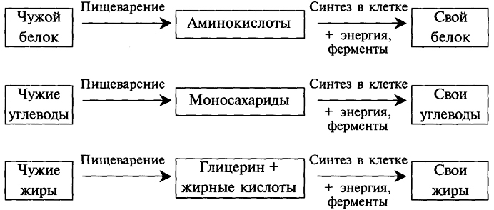 Значение биологии тест