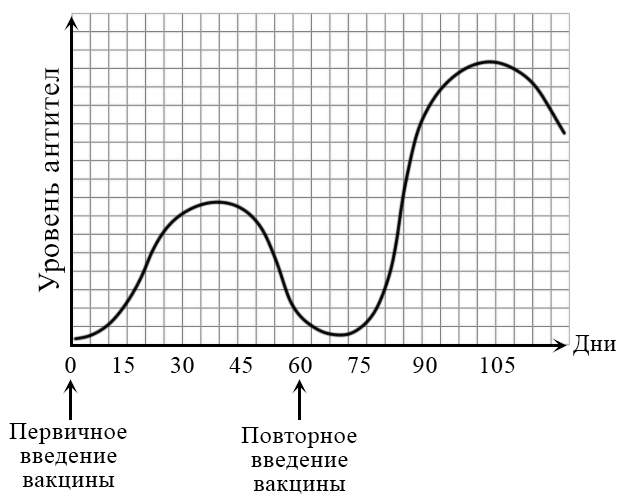 Вариант по биологии. Вариант ОГЭ 8082023 2024. Задание №4
