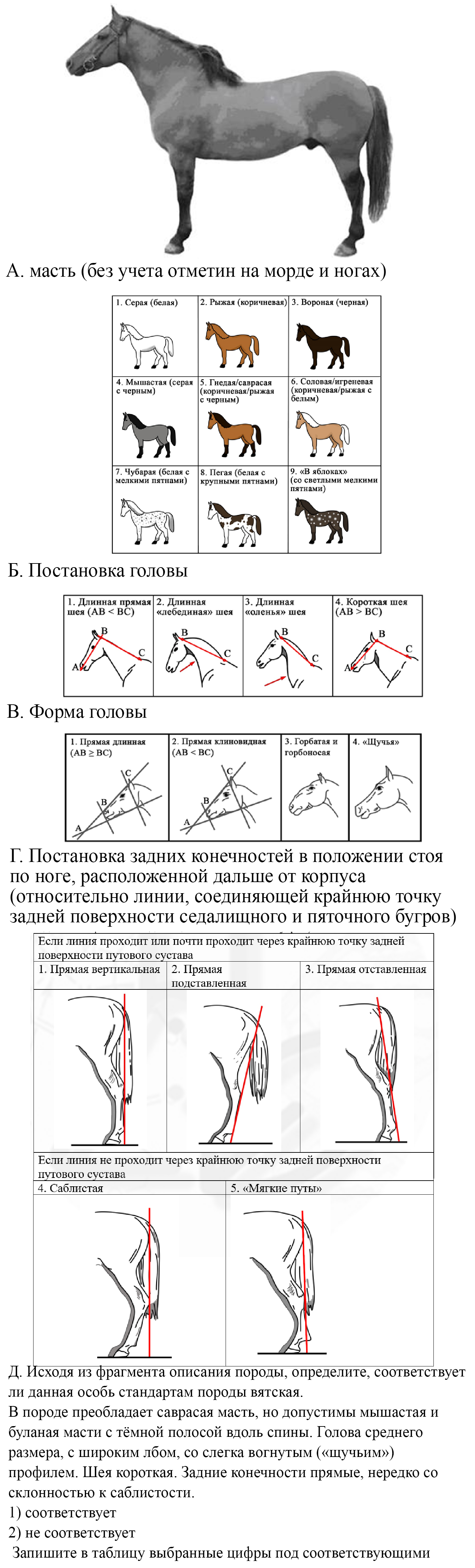 Вариант по биологии. Вариант ОГЭ 8082023 2024. Задание №13