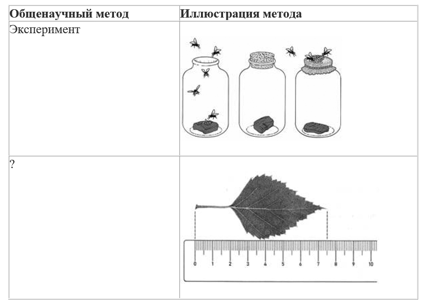 Вариант по биологии. Линия 1. Задания ФИПИ. Вариант 4 2026. Задание №2