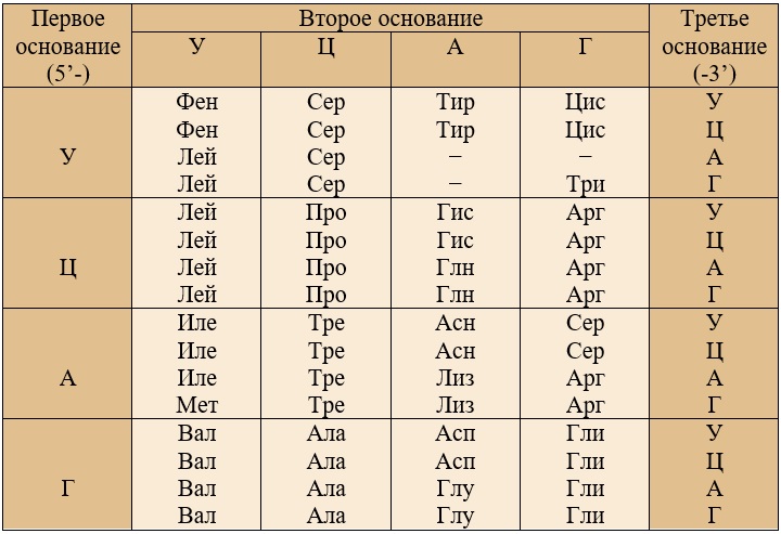 Таблица генетического кода Таблица генетического кода