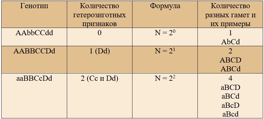 примеры определения количества гамет примеры определения количества гамет