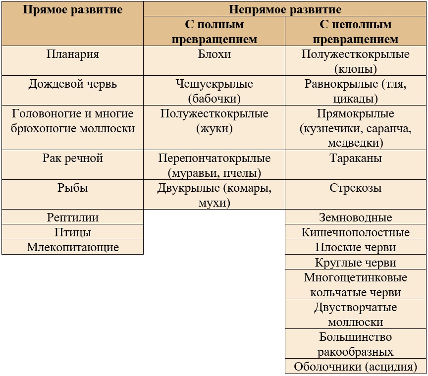 животные с полным и неполным метаморфозом, прямым и непрямым развитием животные с полным и неполным метаморфозом, прямым и непрямым развитием