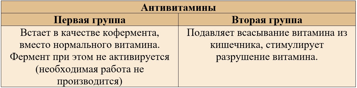 Антивитамины и их виды Антивитамины и их виды