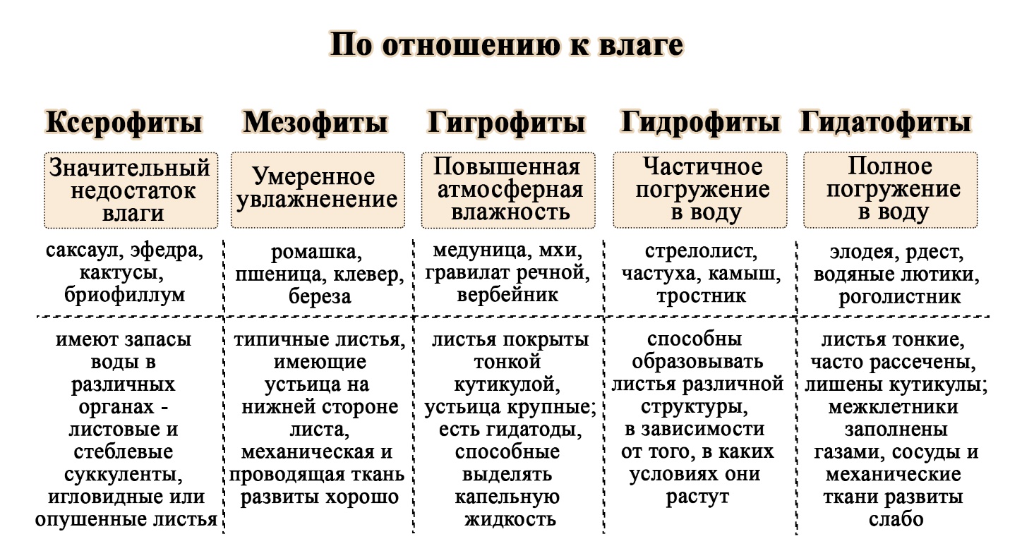 Таблица – сравнение растений по отношению к воде Таблица – Классификация растений по отношению к влаге