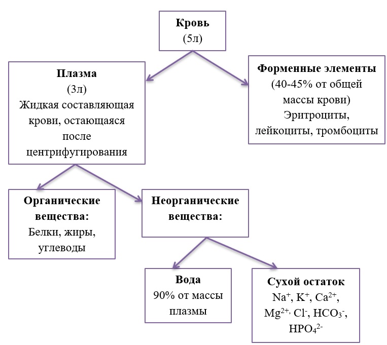 Химический состав крови и плазмы Химический состав крови и плазмы