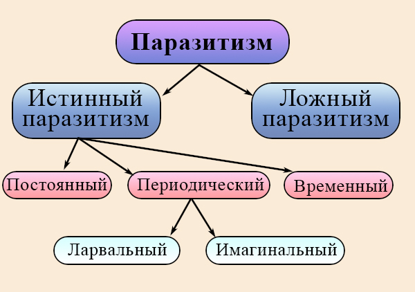 Виды паразитизма Взаимоотношения паразитизм