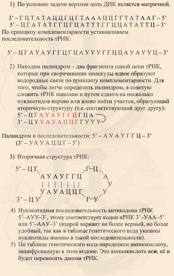 Задача на палиндром Задача на вторичную структуру тРНК