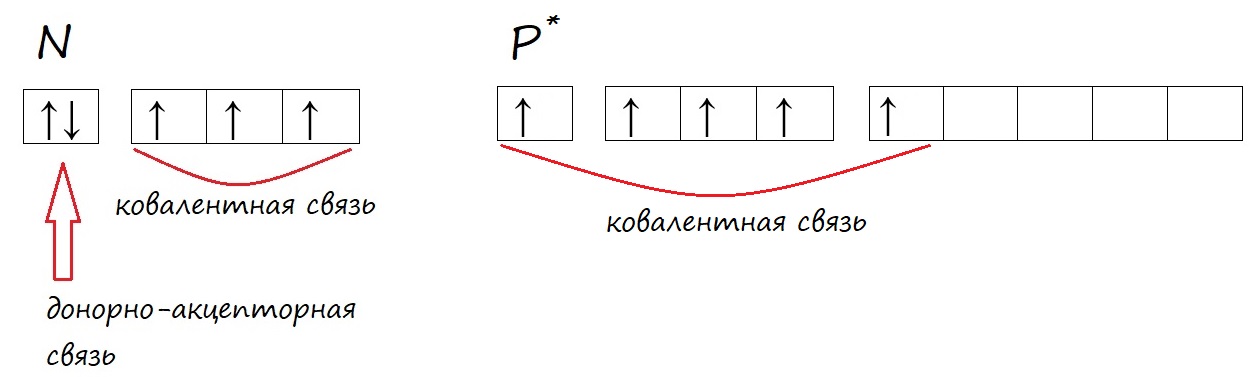 Отличие валентности азота и фосфора Отличие валентности азота и фосфора