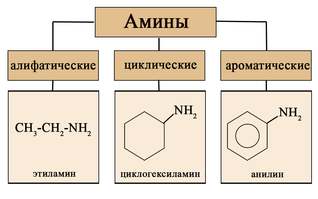 Классификация аминов по типу радикала Классификация аминов по типу радикала