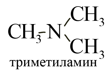Третичный амин (триметиламин) Третичный амин (триметиламин)